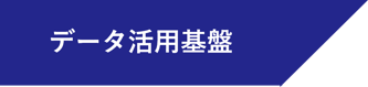 データ活用基盤 データ活用基盤